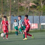 40_04052016-_Kras_B_-_San_Luigi_D_pulcini-677