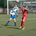 43_07052016-_Opicina_-Kras_B_-_pulcini-489