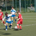 44_07052016-_Opicina_-Kras_B_-_pulcini-496