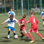 45_07052016-_Opicina_-Kras_B_-_pulcini-498