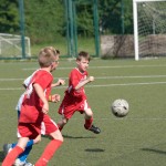 46_07052016-_Opicina_-Kras_B_-_pulcini-504