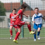 51_07052016-_Opicina_-Kras_B_-_pulcini-561