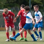 54_07052016-_Opicina_-Kras_B_-_pulcini-584