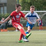 56_07052016-_Opicina_-Kras_B_-_pulcini-596