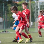 58_07052016-_Opicina_-Kras_B_-_pulcini-614