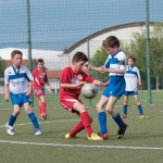 62_07052016-_Opicina_-Kras_B_-_pulcini-641