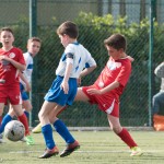 65_07052016-_Opicina_-Kras_B_-_pulcini-708