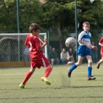 67_07052016-_Opicina_-Kras_B_-_pulcini-723