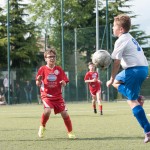 68_07052016-_Opicina_-Kras_B_-_pulcini-724