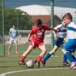 69_07052016-_Opicina_-Kras_B_-_pulcini-736