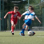 72_07052016-_Opicina_-Kras_B_-_pulcini-803