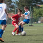 73_07052016-_Opicina_-Kras_B_-_pulcini-822