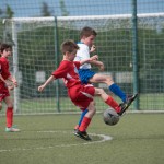 74_07052016-_Opicina_-Kras_B_-_pulcini-838