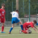 77_07052016-_Opicina_-Kras_B_-_pulcini-869