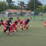 82_07052016-_Opicina_-Kras_B_-_pulcini-893