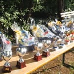 005_tenGaja_dejavnost2016