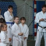 013_JezikovniPoligon_ZgonikShinkai