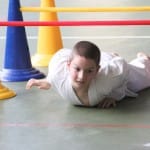 029_JezikovniPoligon_ZgonikShinkai