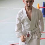 031_JezikovniPoligon_ZgonikShinkai