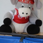 039_odbSokol_IgrajmoMinivolley