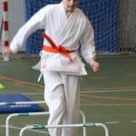 065_JezikovniPoligon_ZgonikShinkai