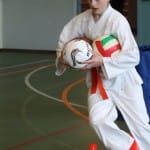 072_JezikovniPoligon_ZgonikShinkai
